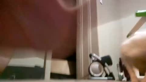 Snapshot of assholeslut9000 chatting on January 18, 1:41 am Tell me spread and Ill spread online show from January 18, 1:41 am