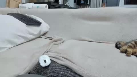 MARCO online show from December 2, 4:57 pm