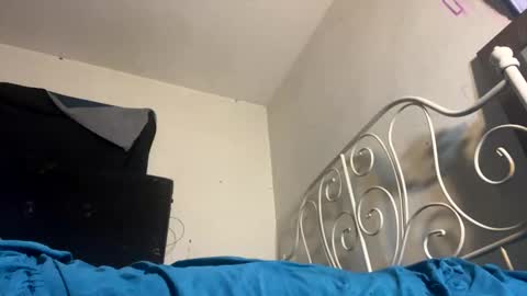 danni travis online show from February 8, 9:13 am