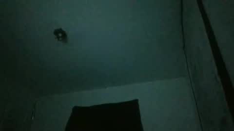 danni travis online show from February 23, 7:44 am