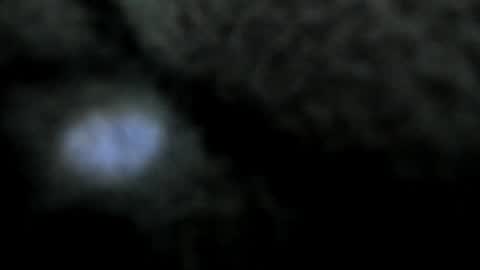 Atilana Diaz online show from December 30, 8:36 pm