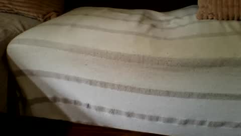 The Atypical Fit Cat online show from April 27, 11:03 pm