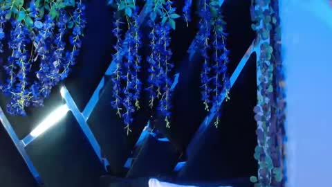 Snapshot of aurora18palmer chatting on September 18, 2:19 pm aurora online show from September 18, 2:19 pm