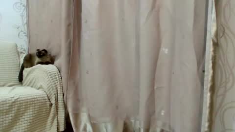 Snapshot of aurora_breeze chatting on February 25, 2:48 pm Kiara Xanthe online show from February 25, 2:48 pm