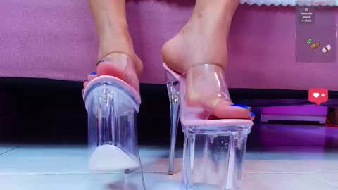 Aurora online show from January 16, 1:37 pm