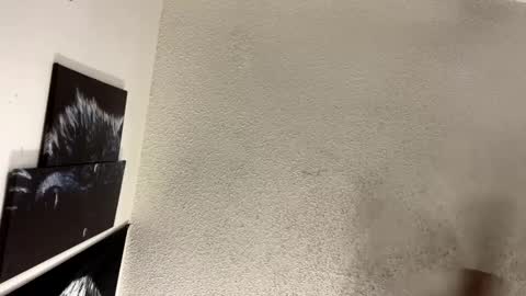 Snapshot of avalkyerieandherheathen chatting on February 5, 1:37 am Lily Orion online show from February 5, 1:37 am