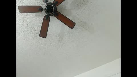 Snapshot of avalkyerieandherheathen chatting on February 13, 1:19 am Lily Orion online show from February 13, 1:19 am