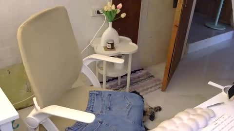 Snapshot of averageuncut1 chatting on November 21, 3:05 am Rhian online show from November 21, 3:05 am