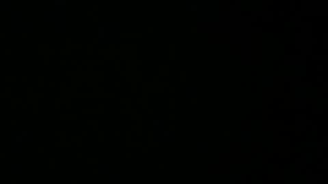 Snapshot of avg3131 chatting on January 16, 6:35 am avg3131 online show from January 16, 6:35 am