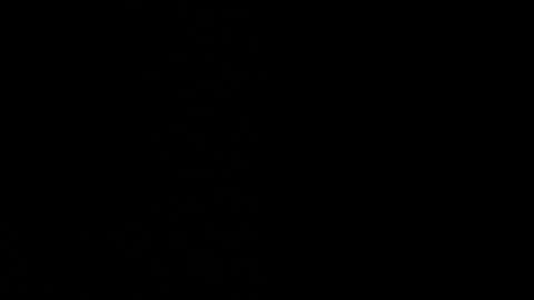 Ayden Miller online show from December 14, 1:49 pm