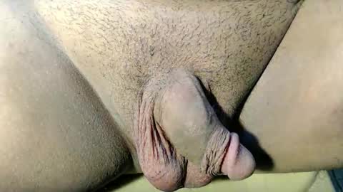 ayumi online show from April 18, 5:39 pm