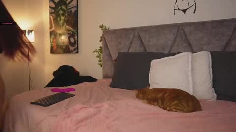 Samanta online show from March 11, 7:04 am