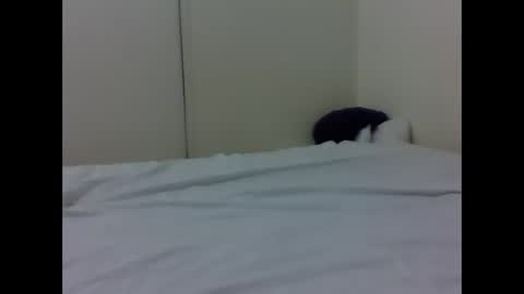 needoh online show from April 26, 4:37 pm