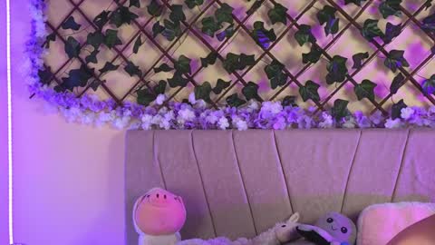  Dani  online show from December 15, 6:51 am