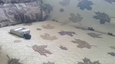 Snapshot of babymom1 chatting on March 9, 2:21 pm babymom1 online show from March 9, 2:21 pm