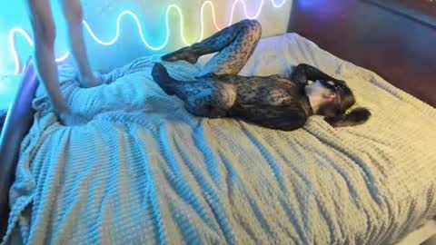 Snapshot of bada_b1ng chatting on December 7, 2:35 pm bada_b1ng online show from December 7, 2:35 pm