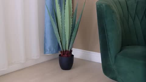 Snapshot of bailey_rush chatting on December 3, 4:49 pm bailey_rush online show from December 3, 4:49 pm