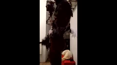 ballshanginglowaf online show from January 19, 9:57 am