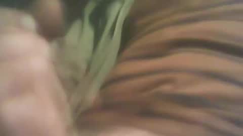 Snapshot of bandapart chatting on September 8, 5:01 pm bandapart online show from September 8, 5:01 pm