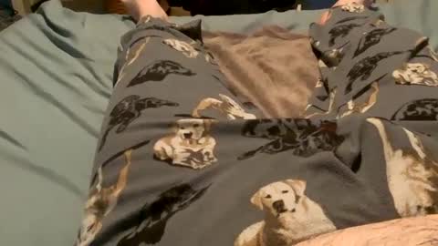 bandman862 online show from December 11, 3:13 am