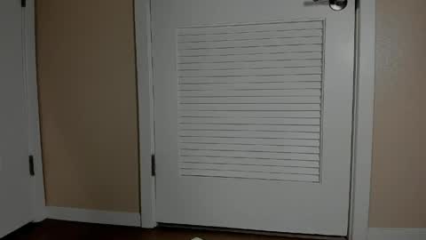 Emi online show from April 16, 9:39 pm