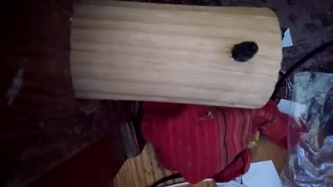 Snapshot of bartender3127 chatting on December 6, 3:33 pm bartender3127 online show from December 6, 3:33 pm