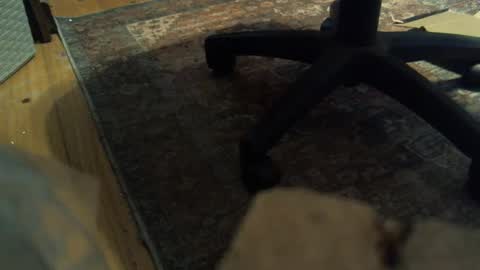 Snapshot of bartender3127 chatting on January 16, 4:18 pm bartender3127 online show from January 16, 4:18 pm