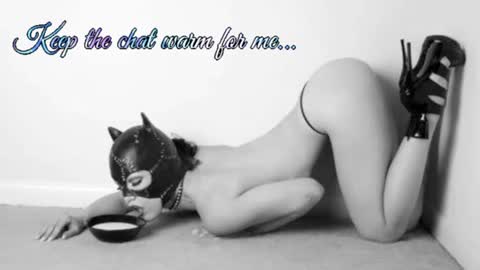 Your always sexy Harley online show from July 5, 7:15 am