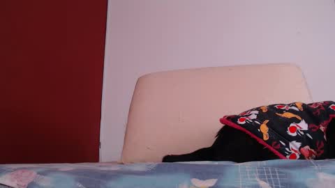 Snapshot of bayonette_black chatting on September 26, 12:09 pm bayonette_black online show from September 26, 12:09 pm