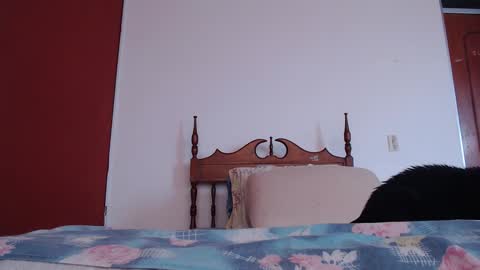 Snapshot of bayonette_black chatting on September 27, 12:10 pm bayonette_black online show from September 27, 12:10 pm