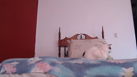 Snapshot of bayonette_black chatting on October 4, 12:03 pm bayonette_black online show from October 4, 12:03 pm