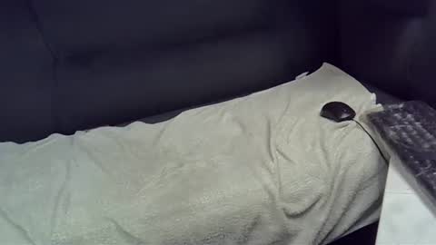 Snapshot of bbc_highness chatting on February 21, 9:11 pm bbc_highness online show from February 21, 9:11 pm