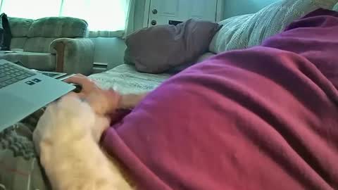 Snapshot of bcema2 chatting on January 8, 9:44 pm bcema2 online show from January 8, 9:44 pm