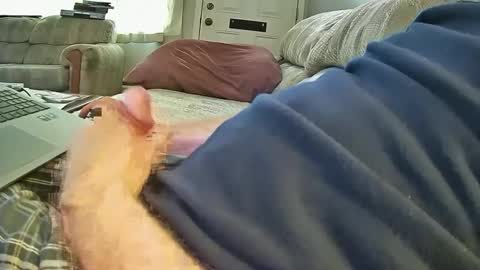 Snapshot of bcema2 chatting on October 8, 6:49 pm bcema2 online show from October 8, 6:49 pm