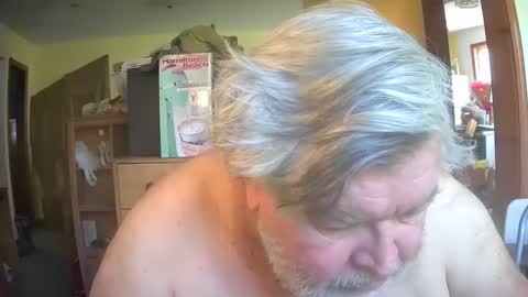 bear online show from April 26, 2:37 pm