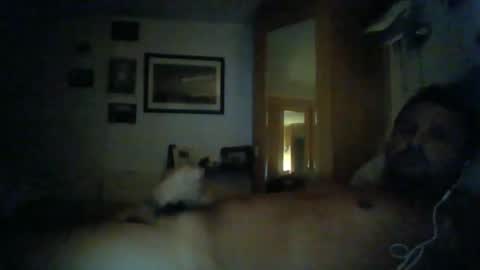 bearboudior online show from January 11, 12:55 am