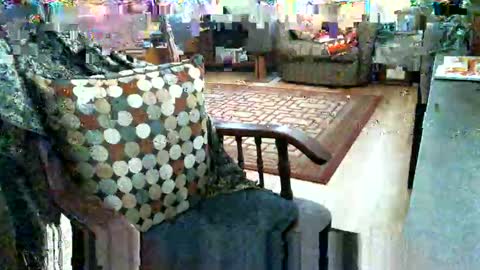 beardie89 online show from January 12, 5:40 pm