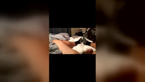 beaverwatcher online show from April 12, 1:32 am