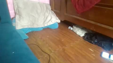 beebaby_xx online show from November 16, 3:39 pm