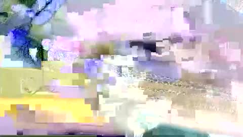 beencee2 online show from March 9, 5:22 am