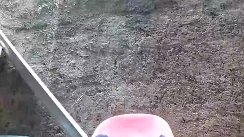 Snapshot of belalicious chatting on February 28, 5:48 am Tezza online show from February 28, 5:48 am