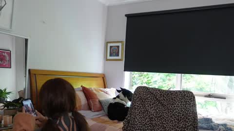 Alt Aussie online show from April 10, 3:23 am