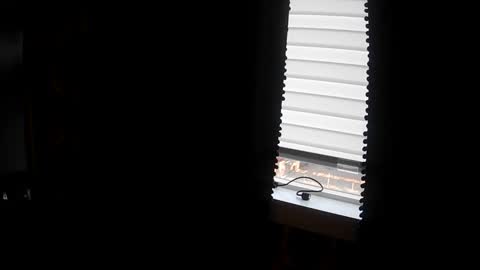 Snapshot of belessa4u chatting on March 20, 12:48 am belessa4u online show from March 20, 12:48 am