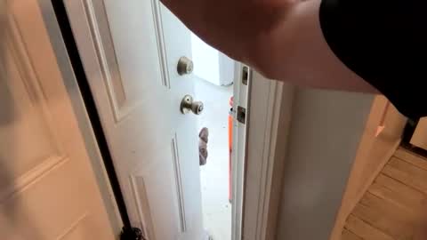 Roxy Rain online show from February 19, 2:12 pm