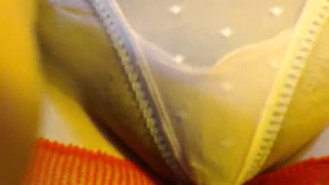 bellafox online show from May 27, 5:21 pm