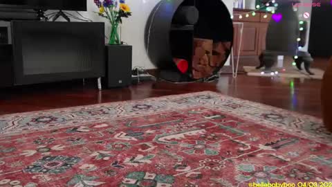 BELLE   online show from March 4, 1:12 am