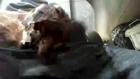 beninoam75 online show from January 9, 7:33 am