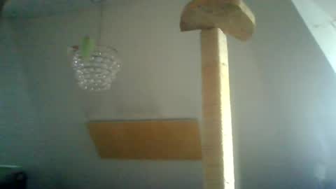 Snapshot of benizio_ chatting on January 15, 10:38 am benizio online show from January 15, 10:38 am