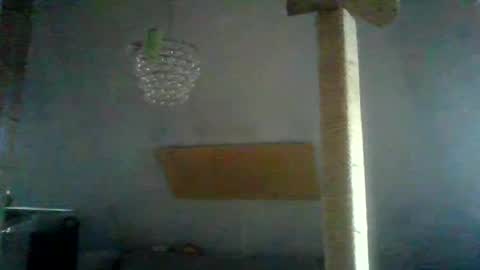 Snapshot of benizio_ chatting on January 24, 2:41 pm benizio online show from January 24, 2:41 pm