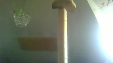 Snapshot of benizio_ chatting on February 22, 11:02 am benizio online show from February 22, 11:02 am